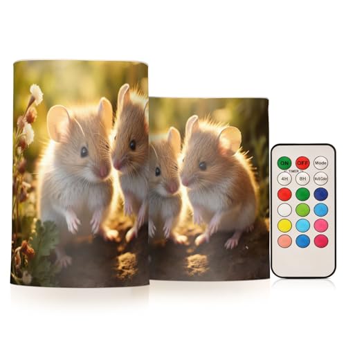 ALAZA Squirrel (1) Flickering Flameless Candles Battery Operated with Remote Timer,Tea Light Candles LED Pillar Votive Candles Set of 2 for Outdoor Indoor Decorations