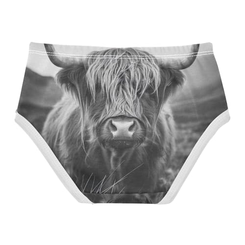 Toddler Panties, Highland Cow Wild Cotton Girls Underwear, 2T–8 Years2