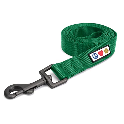 Pawtitas 6 FT Comfortable Leash - Solid Color, Perfect for Puppy & Medium/Large Dogs, 6 ft Training Leash in Lush Green