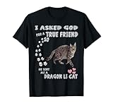 Lleva este juego de palabras de amor y lealtad chino Lia Hua Cat cuando salgas a pasear a tu gatito Dragon Li. Kawaii Dragon Li - Diseño navideño para cualquier camiseta Dragon Li feline Lover, adorable frase de gato dragón mamá o criador, mujer gata. Especies caninas del Día Nacional del Gato