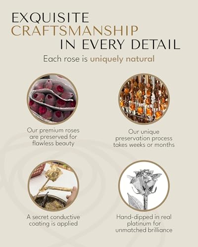 Image of Forever Rose Platinum Dipped Rose, Custom Laser Engraved Platinum Flower