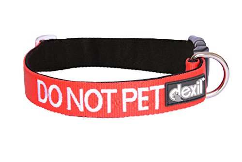 Collar acolchado de neopreno para perro con mensaje "Do not pet", color rojo, tres tamaños distintos S, M, L, XL, deal para evitar accidentes porque avisa a los demás de la presencia de tu perro Cover