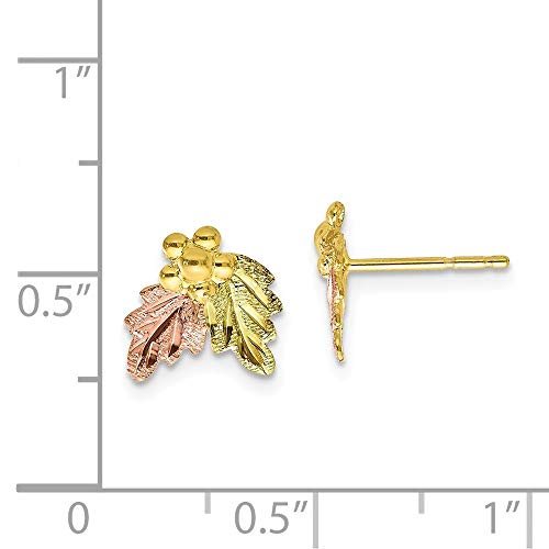 10K Tri-Color Gold Black Hills Gold Post Earrings4