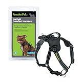 Premier Pet No Pull Comfort Dog Harness - Medium, Adjustable Fit for Dogs 30-70 lbs, Reduce Pulling on Walks, Reflective Stitching, Padded Handle for Extra Control, Front Leash Attachment