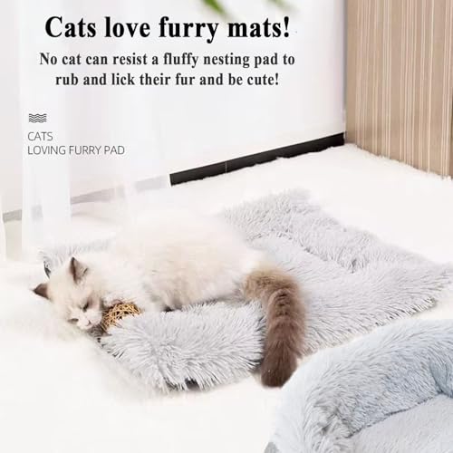 Xiuyer Katzendecke Selbstwärmend, Selbstheizende Katzendecke, 2 in 1 Katzenbett Haustierbett Katzensofa, Grau, 61x51cm