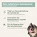 AniForte Grünlippmuschelpulver für Hunde & Katzen 100g - VERGLEICHSSIEGER 2023 Gelenkpulver in Vollfettqualität, unterstützt Gelenke & Agilität, Grünlippmuschel Pulver mit hoher Akzeptanz