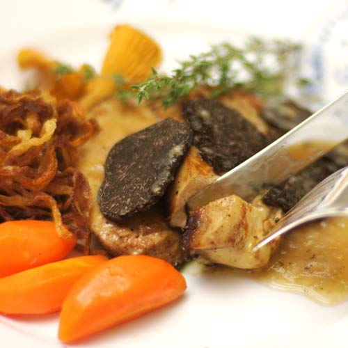 ⓀtHAO tHAO h Ji[ nK[Y 500-600 ̃tHAO