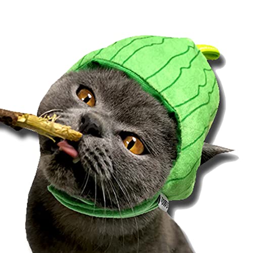 Sombrero disfraz frutas para perros y gatos miniatura 6