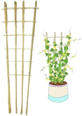 Natural Bamboo Trellis, 4Feet,3Pack,Fan-Shaped Plant Support Trellis for Outdoor and Indoor Potted Climbing Plants,Vegetables, Cucumber, Tomato, Hoya, Wisteria,Ivy,Orchid, Jasmine Monstera, Vine,