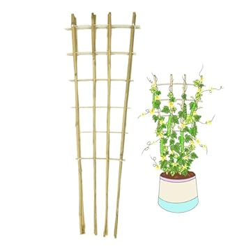 trellis for wisteria vine