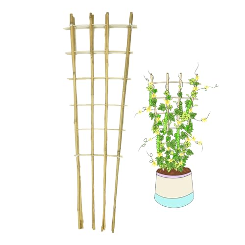 Natural Bamboo Trellis 4Feet 3Pack Fan-Shaped Plant Support Trellis for Outdoor and Indoor Potted Climbing Plants Vegetables Cucumber Tomato Hoya