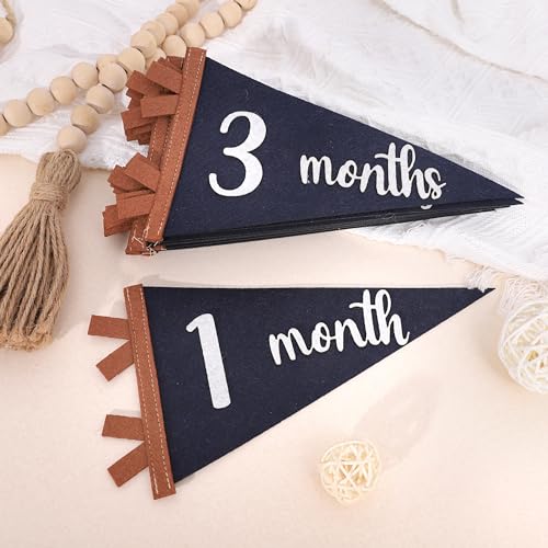 12 PCS Baby Monthly Milestone Felt Pennant - Navy Blue 1 to 12 Months Photo Props, Newborn Growth Record Triangle Banner, First Year Signs, Boys Monthly Photo Props