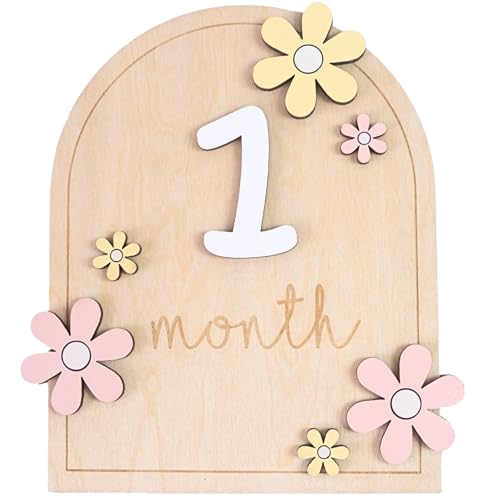 MEMOLEBIA Baby Monthly Milestone Sign,1-12 Monthly Milestone Signs, Baby Girl Nursery Decoration, Newborn Photography Props Double-Sided (M01)