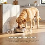 Non-Slip Stainless Steel Dog Bowls, 95 oz / 11.7 Cup, 2 Pack | Spill-Proof, Non-Slip Silicone Base for Large to Giant Dogs, Dishwasher Safe, Silver - Image 7