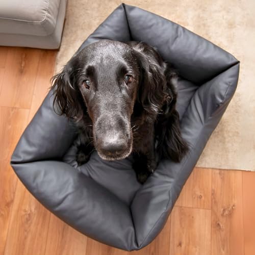 4L Textil Mario Hundebett Kunstleder Hundekorb aus Kunstleder Wasserfestes Hundebett mittelgroße Hunde Hundesofa (100x70 cm, Graphit)
