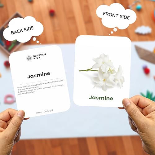 Image of SPARTAN KIDS Flower Flash Cards for Kids | 27 Early Learning Flash Cards Easy & Fun Way of Learning 1 Year to 6 Years Babies, for Cognitive Skills
