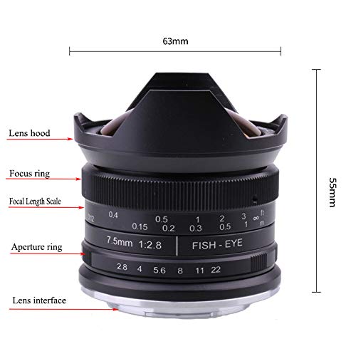 RISESPRAY 7.5MM F2.8 FISHEYE マイクロフォーサーズ
