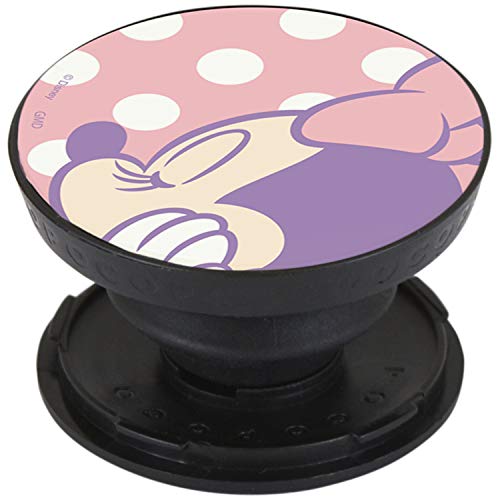 グルマンディーズ ディズニー、ディズニー/ピクサーキャラクター/POCOPOCO ミニーマウス DN-738B