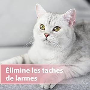 Eye Care 100 Pads for Cats  Against Dirt and Tear Stone  Pads for Cleaning and Care of the Eye Area  with Aloe Vera Extract  Cucciolini Doodles Eye care 100 pads for cats  against dirt and tear stone  pads for cleaning and care of the eye area  with aloe vera extract   cucciolini doodles