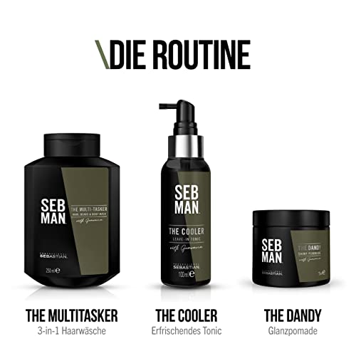 Seb Man The Dandy - Pomade mit leichtem Halt - Für ein glänzendes, glattes Finish - Für alle Haartypen - 1 x 75ml