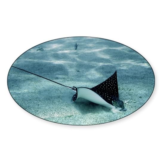 CafePress Spotted Eagle Ray Oval Car Bumper Sticker