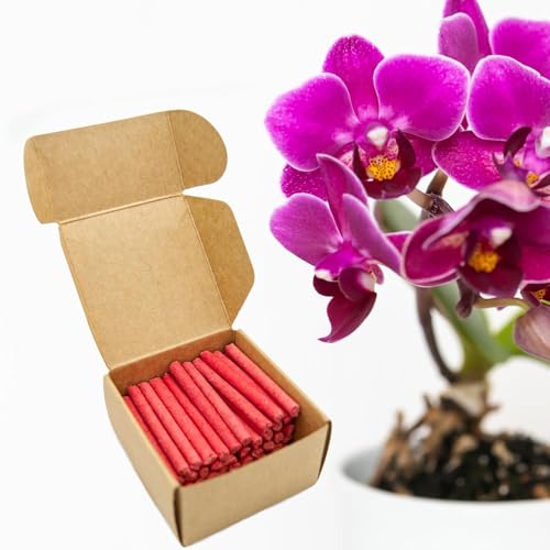 floraline® | 150x Orchideen - Düngestäbchen | Orchideendünger für bis zu 100 Tage prächtige Blumen mit Wachstum und gesunden Blüten pro Stäbchen | Schonende Anwendung für ihre Orchidee