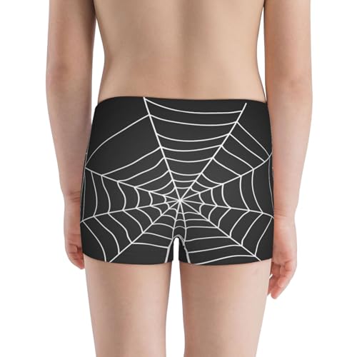 Boys' Cotton Boxer Brief Soft Underwear-A Web With A Spider3