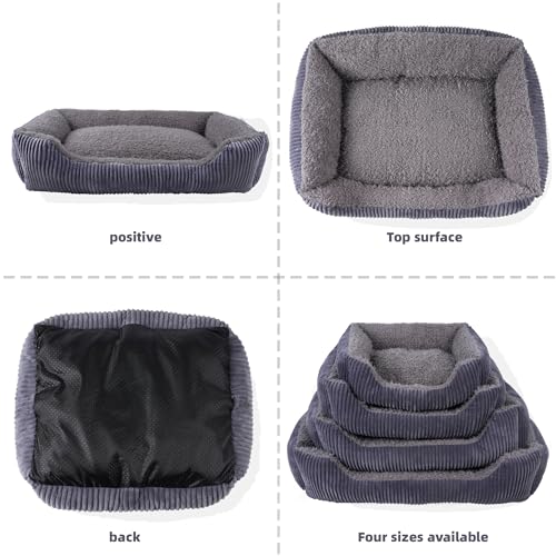 TWDEPART Orthopädisches Hundebett für mittelgroße Hunde, waschbares Plüsch-Hundesofa mit Cordbezug, rutschfest, Grau, 89 x 63 cm