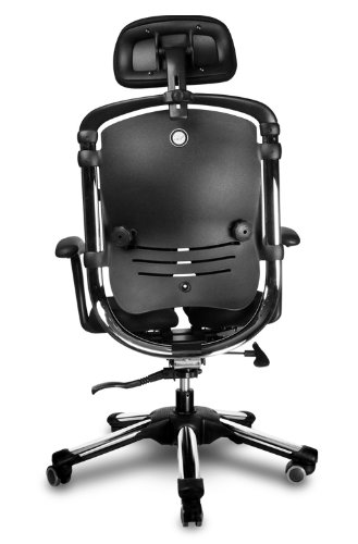 Amazon.co.jp: Hara Chair ハラチェア ニーチェ 《標準モデル 