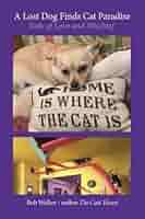 Evidence / Cats & Dogs 2LP レコード Evidence - Cats & Dogs - Amazon.com Music