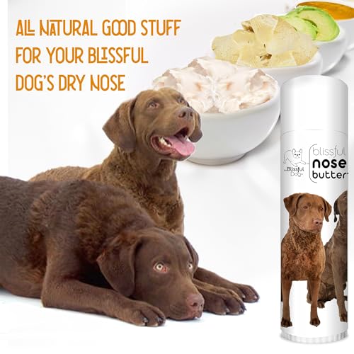 Image of The Blissful Dog Chesapeake Bay Retriever Unscented Nose Butter, 0.50-Ounce