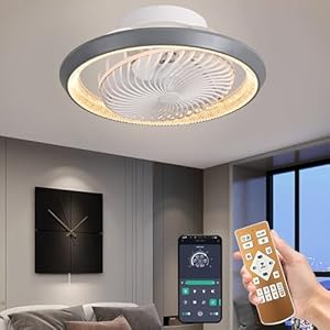 Qiaomao LED Deckenventilator mit Beleuchtung Grau 49cm