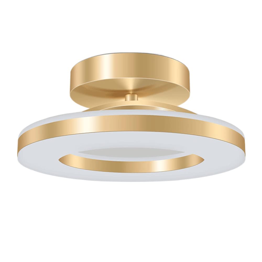 GBARAN Round Aluminum Ceiling Light,Simple Modern Flush Mount Ceiling Light Fixture,LED Light Source White Light Ceiling Lamp,Indoor Energy-saving Decoration Lighting Fixtures