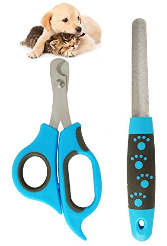 BPS Ciseaux Scissors avec Lime pour Chiens Chats Acier Inoxydable et Plastique Produit Professionnel pour Animaux 17,5 x 6,5 cm