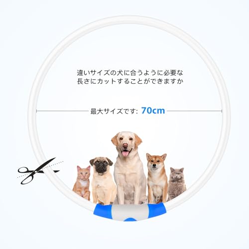 光る首輪 LED 犬 首輪 - 画像 2