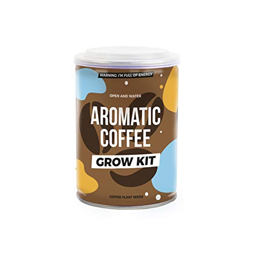 Grow Tin Aromatic Coffee 1 Plant Seed Medium Roast | Grow Your Own Coffee | Gift Republic