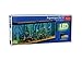 Aqua Culture Aquarium Starter Kit, 55 Gallon