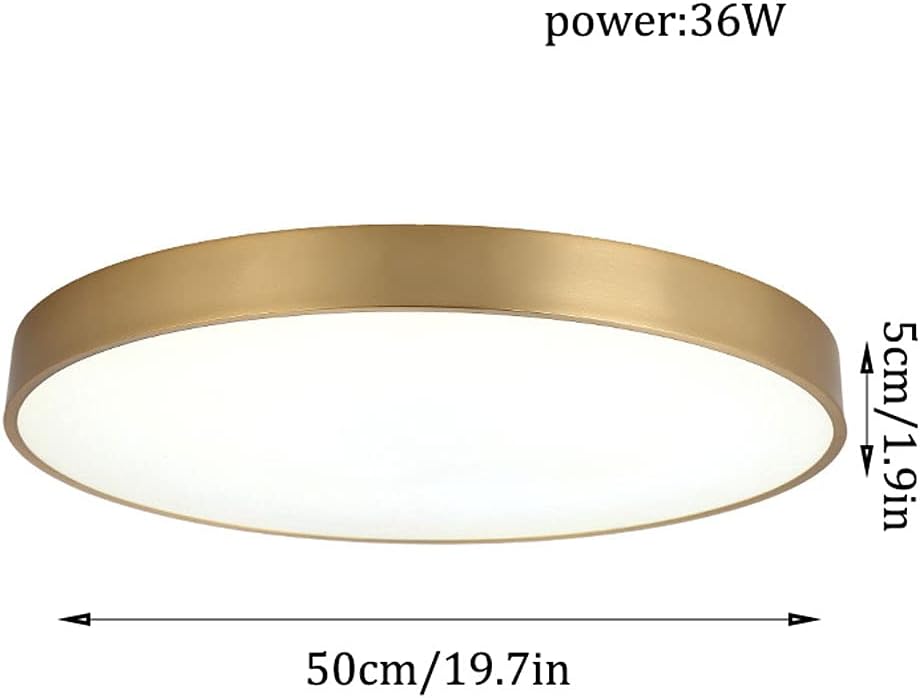 Gold Low Profile Ceiling Lights Hallway Adjustable Dimmable Flush Mount Ceiling Lamps 5000K Daylight White Slim Flat Panel 30W Ceiling Lights for Kitchen Corridor Bedrooms/Color/Large