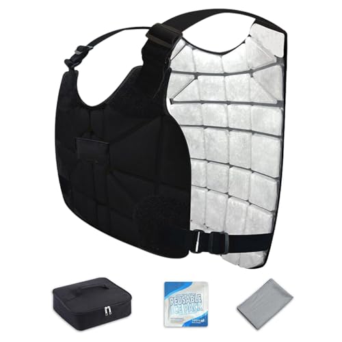 Gilet rafraîchissant pour homme sans manches pour le sport et plein air