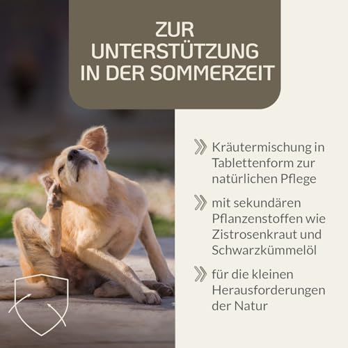 Provicell para-Z-Vital | Mit Tierärzten in Deutschland entwickelt & hergestellt | Schutz für den Hund ohne Chemie | 120 Tabletten