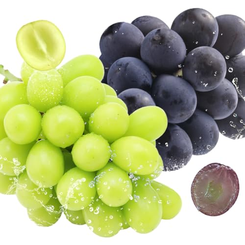 [2回定期便]秀品 シャインマスカット 巨峰 計2.4kg 日本フルーツ株式会社[8月上旬-8月末頃出荷]熊本県 荒尾市 シャインマスカット 巨峰 ぶどう 果物 フルーツ 定期便 ギフト 購答用 人気