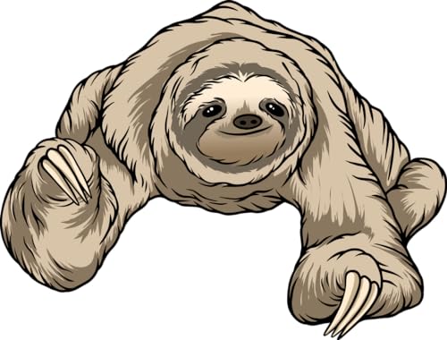 Toile poster Sloth 17 A2 citation encourageante pour le moral