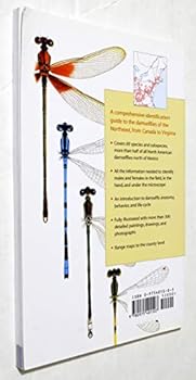 Paperback Damselflies of the Northeast : A Guide to the Species of Eastern Canada & the Northeastern United States Book