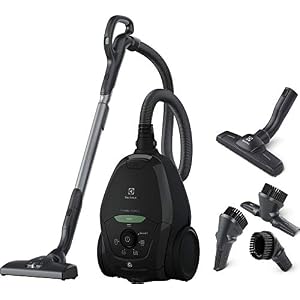 Electrolux PD82-GREEN Aspirateur avec sac Puissance max 600 W Système Aspiration AeroPro, 2 Brosses, Accessoire 3 en 1