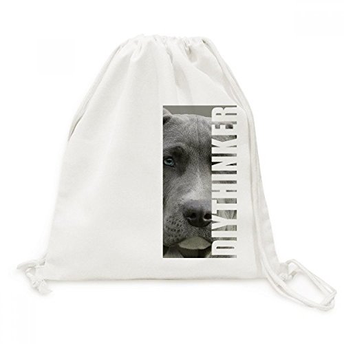Sac cordon animaux chien avec photo de animal de compagnie pour voyage