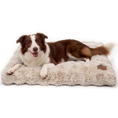 BingoPaw Panier Chien Grande Taille: 90x60x10cm Coussin Chien Déhoussable et Lavable en Machine,...