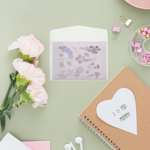 Bewudy 50 envelopes de vidro, sacos de vidro de 7 x 10 cm, envelopes de velino, coleção de moedas pe