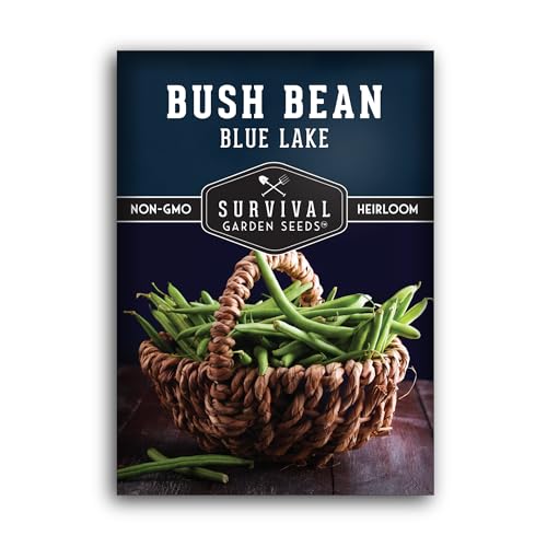 Blue Lake 274 Bush Bean Seeds for Planting - Survival Garden Seeds (1 Pack)