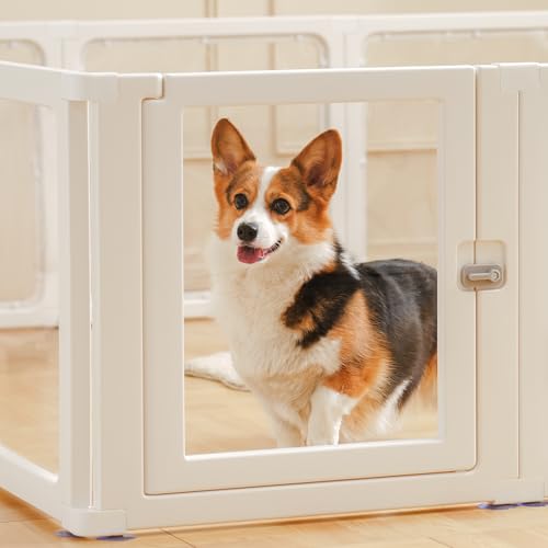 Citylife 8-TLG Welpenauslauf 60cm hoch, Hundelaufstall faltbar mit Tür, Hundegehege Wohnung, XXL Laufgitter für Hunde, Katzen, Kaninchen, Kleintiere, rutschfest, Transparent,120LX120WX60HCM