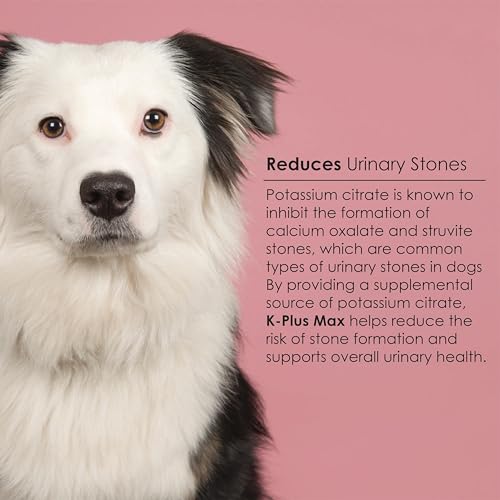 Image of Urinary Tract Health Soft Chews for Dogs - Cranberry + DL-Methionine + Potassium Citrate - Supports Bladder & Kidney, pH Balance, UTI & Bladder Stone Prevention - Made in USA - 90 Easy-to-Feed Chews